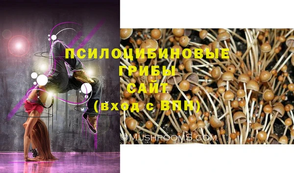 прущие крисы Майский