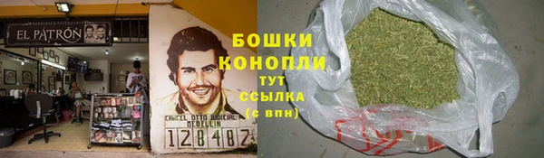 прущие крисы Майский