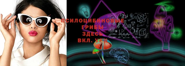 прущая мука Магас