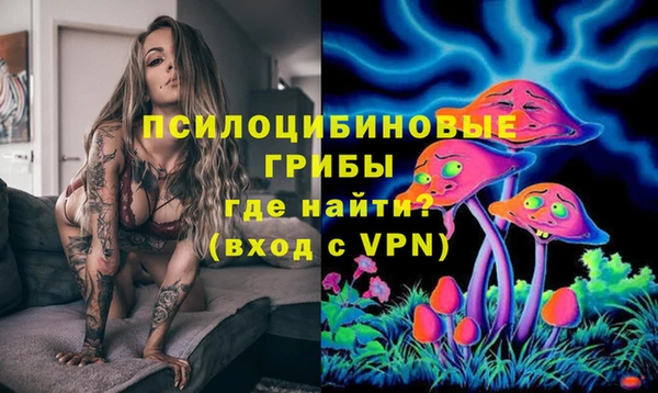 СК Магадан