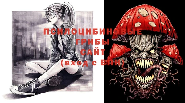 СК Магадан