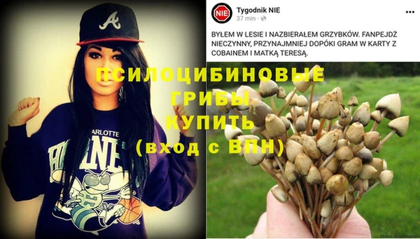 СК Магадан
