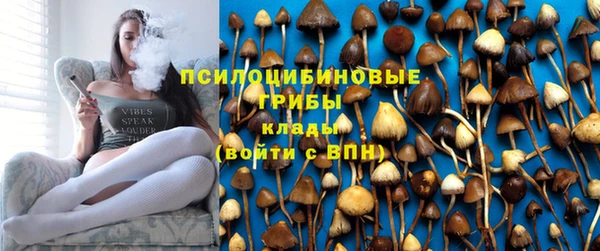 прущая мука Магас