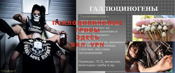 прущая мука Магас