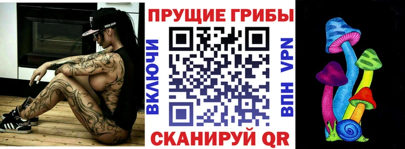 Галлюциногенные грибы прущие грибы  Кирсанов 
