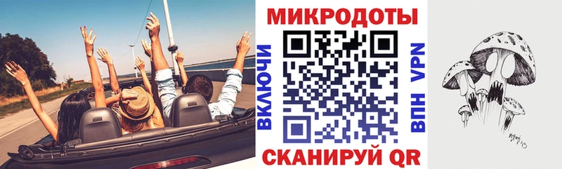 Псилоцибиновые грибы GOLDEN TEACHER Кирсанов